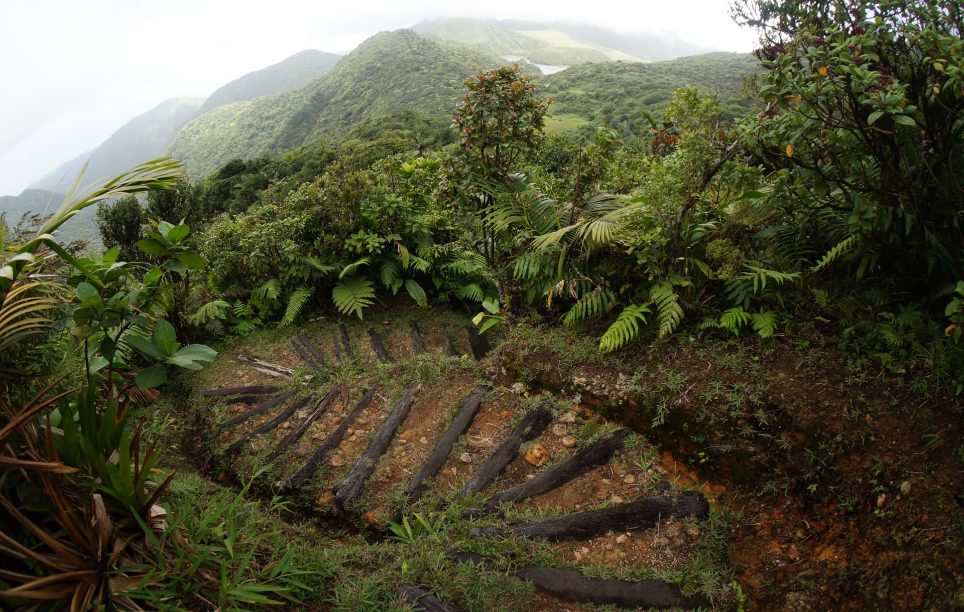 Aerial view of Dominica's World Heritage rainforest